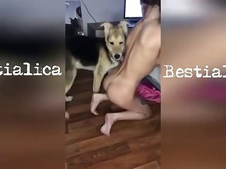 Dog Fuck Camgirl Duola Fucks Bbfs Boyfriend 20