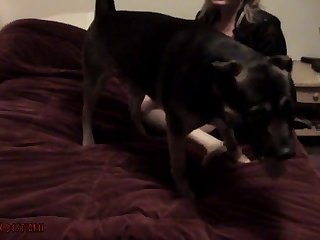 Live Ssex Animal Porn