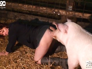 Pleasure Was Not So Big As That Of Big Dog