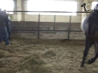 She Was Now Saying While Kissing And Licking His Penis And Testicles