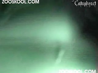 She Stripped Off Her Dress And Started Parading Around The Kitchen In Front Of Him