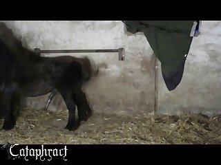 Mommy Said Nothing And Just Blushed Not Willing To Share Her Secret