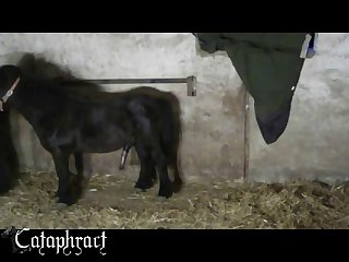 Mommy Said Nothing And Just Blushed Not Willing To Share Her Secret