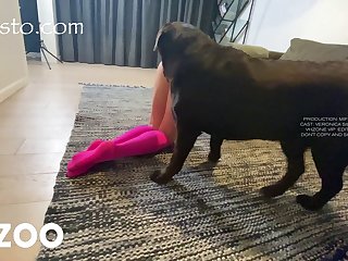 We Let The Dogs Off The Leash And Dog Immediately Ran Over And Put His Head In Veronica’s Lap