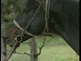 Actress Cheetah Is Going Approximately Win Fucked At the end of one's tether A Dildo