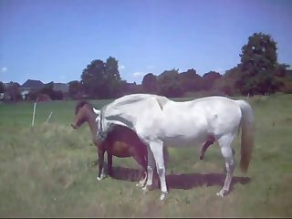 Basjeslotjes Unification2