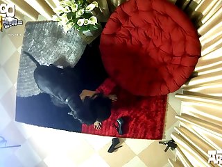 Easy Free Home screen