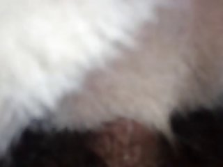 Maslaseen Com