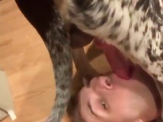 Sucking Dog.