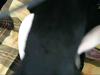 Carbon copy Steed Dildo