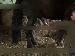 My Slutty Bestiality Porn