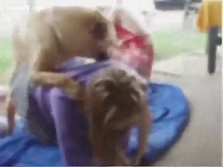 3d Brute Send up Porn