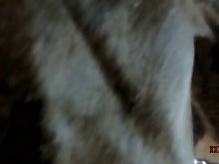 Porn Mammal Amateur