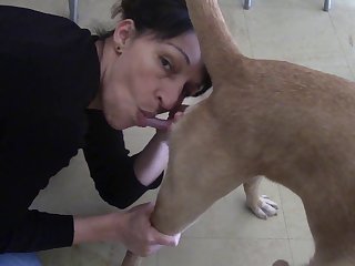 Bestial Facilities Porn Make fun of