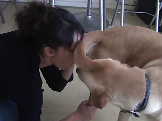 Bestial Facilities Porn Make fun of