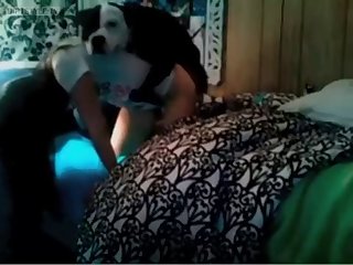 Unorthodox Animal Porn Videos Eskorte I Stavanger