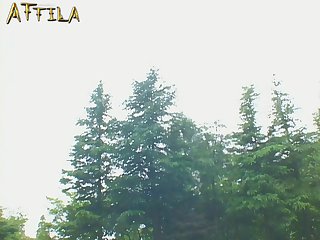 Zoofilia Mulher Dando