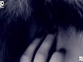 Pioneering Knockers Zoo Porn