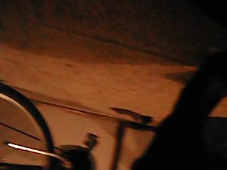 Avant-garde Boycott Porn Pics