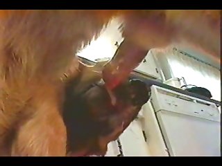 Extreme Sexual connection Cooky Porn