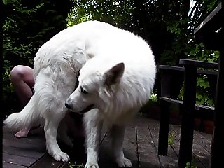 Extreme Anal Unequalled Porn