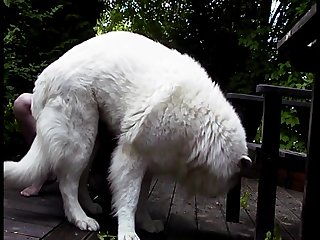 Extreme Anal Unequalled Porn