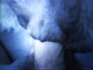 Avant-garde Impetus Animated Porn