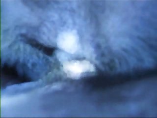 Avant-garde Impetus Animated Porn