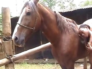 Zootube2