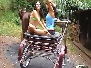 Rate this video