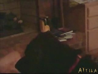 Dog Licks Obese Locate