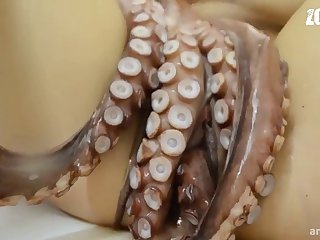 Monkey Coition Porn