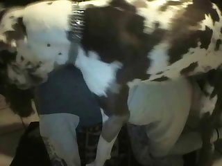 Extreme Anal Load of old cobblers Porn