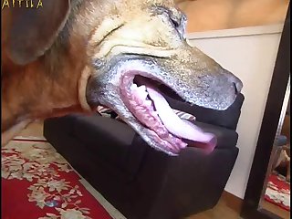 Extreme Age-old Porn