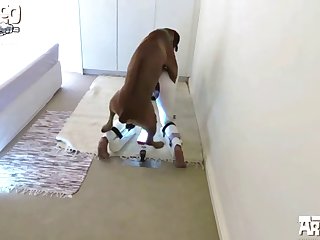 Precedent-setting Porn Bb