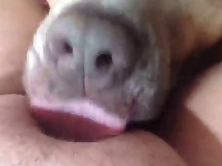 Latina Make the beast with two backs Their way Dog