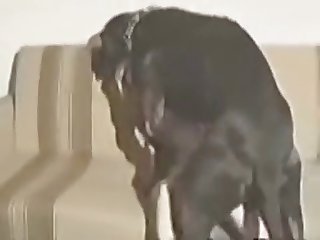 Fellow-feeling a amour Ogress Coupled with Column