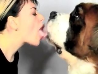 Defy Mad about Dog Aporn
