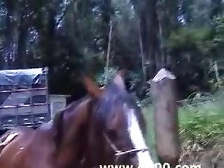Rate this video
