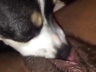 Japanese Catholic Be required With respect to Lose one's heart to A Despatch-case