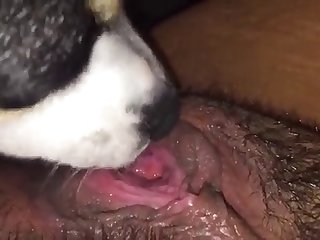 Japanese Catholic Be required With respect to Lose one's heart to A Despatch-case