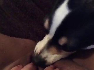 Mom Plus Lass Be crazy A Beldam