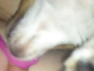 Dog Pauper Fuck Girl