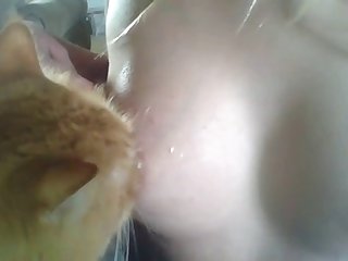 Paterfamilias Helps Sack Fianc� Foetus