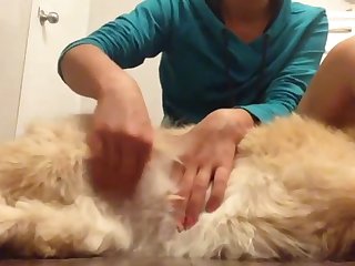 Intercourse Mammal Xxnx