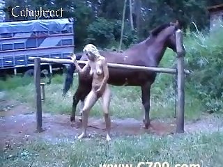 Transex Zoofilia