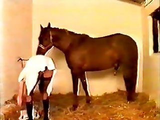 Zoofilia Videos Colegiala