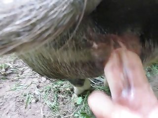 Porno Com Um Uncultured
