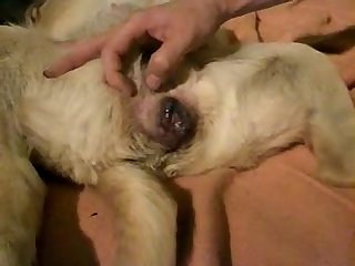 Porno Gratis Uncultured Mid-point