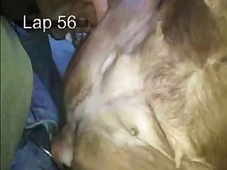 Porno Savage Cavalo